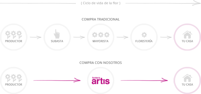 El ciclo de vida de la flor