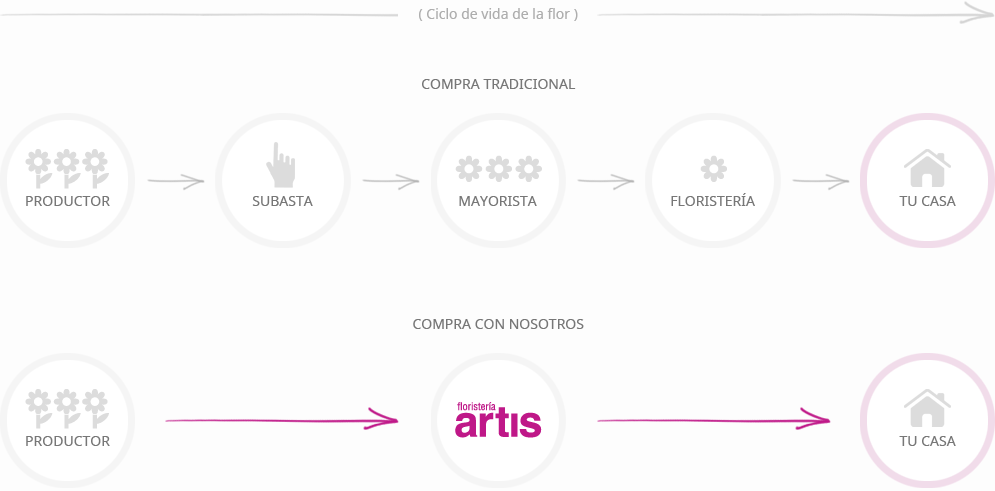 Ciclo de vida de la flor