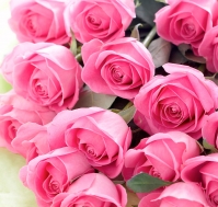 Ramo de Rosas de color Rosa