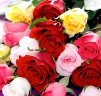 Ramo Rosas de Colores