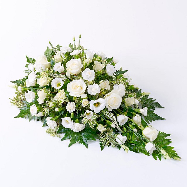 Foto White Flower Center