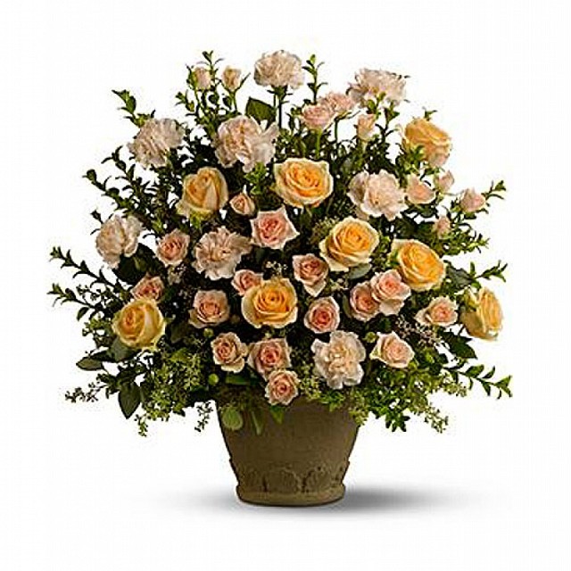 Foto Center Rosas, Claveles and Eucalyptus
