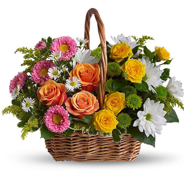 Foto Rainbow basket