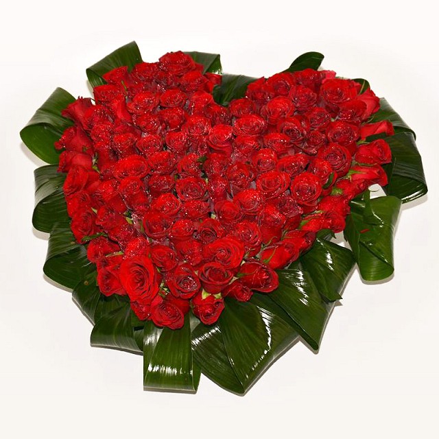 Foto Rose heart with ornamental green