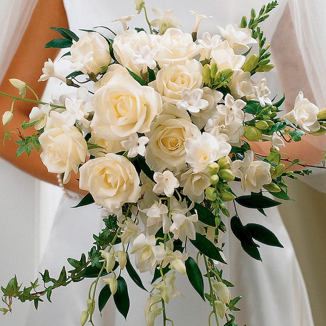 Foto Bridal Bridal Bridal