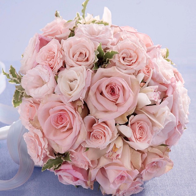Foto Bridal Rosas Bridal