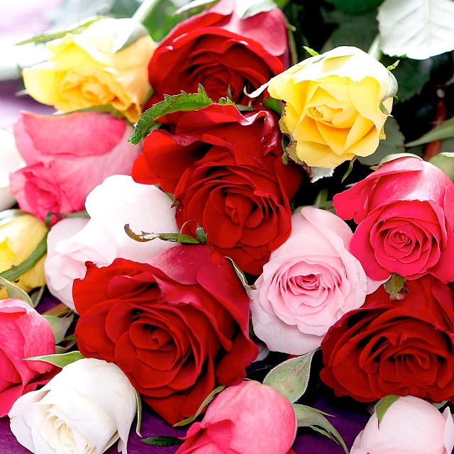 Foto Rosas colored bouquet